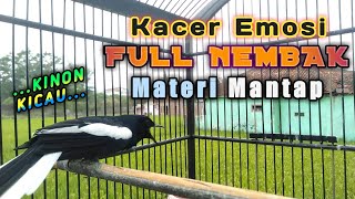 🔴 Kacer Emosi Full Tembakan || Materi Mantap Ngeri