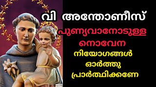 St Antony Novena  January 14 വി. അന്തോണീസ് പുണ്യവാന്റെ നൊവേന #stantony #kaloor #antony  #novena