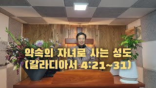 생명의 삶 QT. [2024.10.27.(주)새벽예배] 약속의 자녀로 사는 성도(갈라디아서 4:21~31) 강인철목사