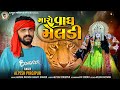 Alpesh Pirojpur || Maro Vagh Meldi || New letest Gujarati song || @bapjistudioofficial_1819