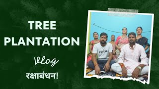 रक्षाबंधन के अवसर पर स्पेशल tree plantation 🌳 #trending #youtubeshorts #shortsfeed #viral