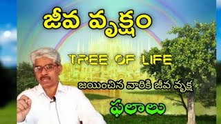 Jeevavruksham||జీవ వృక్షం || #Tree Of Life అనగా .... జీవవృక్ష ఫలాలు అనగా