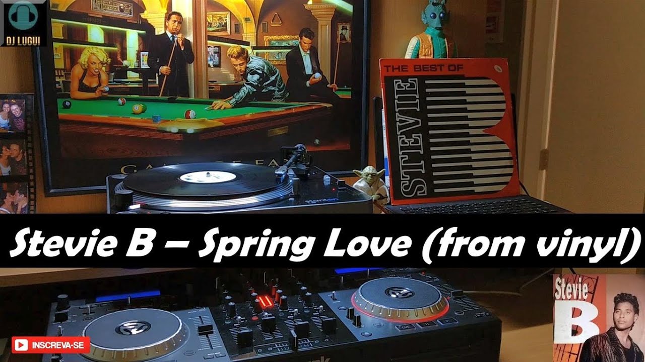 Stevie B - Spring Love - 1988 (Brincando Com Vinil) - YouTube