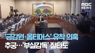 '금감원·옵티머스' 유착 의혹 추궁…'부실감독' 질타도 (2020.10.13/뉴스데스크/MBC)