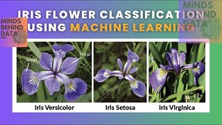Iris Flower Classification | CodSoft Internship Project