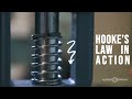 See Hooke’s Law in Action! | Online Spring Force Tester Demo