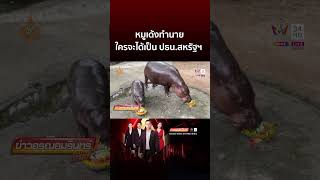 หมูเด้ง มาแล้ว! ทำนายใครจะได้เป็น ปธน สหรัฐฯ | ข่าวอรุณอมรินทร์