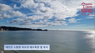 태안군 소원면 파도리해수욕장 옆 해안 토지