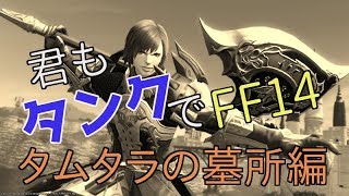 【概要欄に最新リメイク版あります】【初心者向け】君もタンクでFF14:タムタラの墓所編【ID解説】