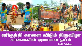 💥ஏரிகுத்தி காளை விடும் திருவிழா 💥 காளைகளின் அபாரமான ஓட்டம் 💥 Erikuthi Eruthukattu 2024 💥