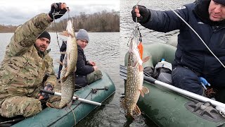 Шалений жор хижака. Дві доби зі спінінгом!