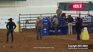 2023 Nutrena AQHA World and Adequan Select World Amateur Tie-Down Roping