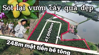 CỦA HỒI MÔN CHA MẸ CHO MẢNH NHÀ VƯỜN GẦN HỒ TRỊ AN ANH EM TRONG GIA ĐÌNH BÁN CHIA NHAU