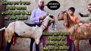 रियासत ख़ान के फ़ार्म में अचानक की छापेमारे छुपाई थी 42 क़द की बकरियाँ @farmingbaba khan goat farm