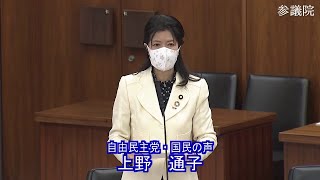 参議院 2022年03月11日 消費者問題に関する特別委員会 #03 上野通子（自由民主党・国民の声）