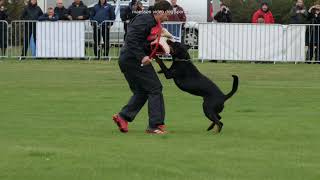 Best of IFR Rottweiler Worldchampionship IGP 2021