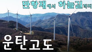 운탄고도를 걷다 | 만항재에서 하늘길까지 | 반려견과 함께하는 트레킹 | 드론영상 | 4K영상