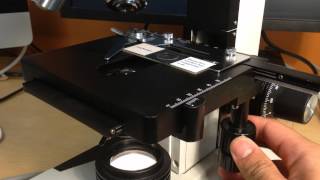 AmScope Double Layer Mechanical Stage