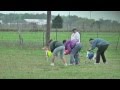 Download Lure Coursing Whippets, Florence, TX March 18, 2012 In Mp4 3Gp Full HD Video