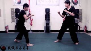 詠春拳教學實戰技擊WINGCHUN fighting(4)