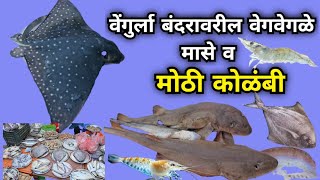 आज बघूया वेंगुर्ला बंदरावरील स्पेशल मोठी कोळंबी व मासे 🐠🐟#Vengula bandar #fish#malvani #fishcutting