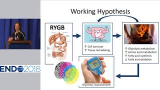 ENDO 2018 - News Conference on Obesity