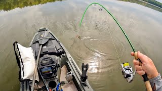 Slip Float CRAPPIE on LIVE Minnows! (Fishing for Dinner)