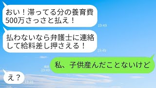 養育費500万が滞っている元夫から、「払わないなら給料を差し押さえる！」と突然激怒されました。しかし、私は子供を産んだことがないと伝えた時の彼の反応は笑えましたwww。