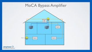 MoCA 101: Part 3, Actives