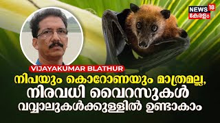 Nipah Virusഉം Coronaയും മാത്രമല്ല, നിരവധി വൈറസുകൾ വവ്വാലുകൾക്കുള്ളിൽ ഉണ്ടാകാം | VIJAYAKUMAR BLATHUR