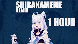 #shirakameme Remix【1 Hour Loop】