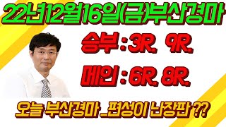 금요 부산 경마 예상 승부예측 정보 방송(2022년12월16일)