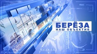 Берёза. Наш объектив 02-06-19