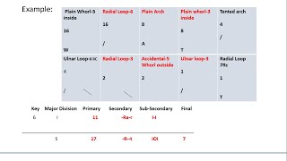 Fingerprint Classification- Major to key Classification