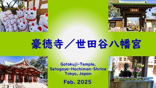 豪徳寺_世田谷八幡宮_Gotokuji-Temple_Setagaya Hachiman Shrine_Feb. 2025