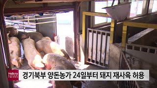 경기북부 양돈농가 24일부터 돼지 재사육 가능