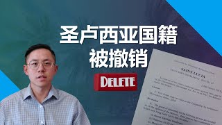 圣卢西亚护照为什么会被取消？