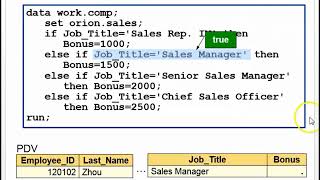 Conditional Processing (SAS Programming)