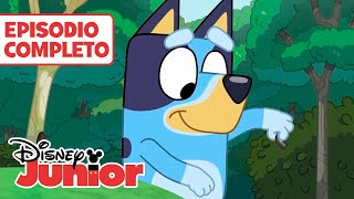 BLUEY:  El arroyo 🥰 | CONTENIDO ACCESIBLE: AD | EPISODIO COMPLETO | @DisneyJuniorES