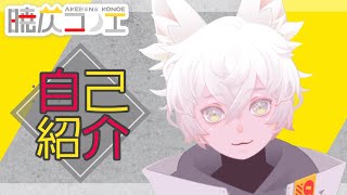 【自己紹介】はじめまして！暁仄コノエです【新人Vtuber】