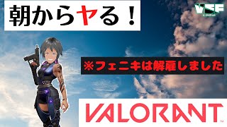 【視聴者参加型】FPS初心者によるVALORANT【概要欄必読】