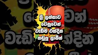 එක්දින ක්‍රිකට් පිටියේ ශ්‍රී ලන්කාව වෙනුවෙන් වැඩිම කඩුලු ලාබීන් 10 🇱🇰😵 #srilanka #cricket #shorts