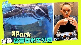 狗勾開箱！ ＸPark都會型水生公園＋海洋主題飯店