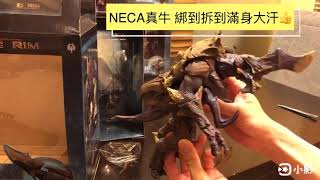 NECA PACIFIC⚡️RIM OTACHI 環太平洋-苦難-Hardship 怪獸開箱文