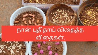 இந்த மாத புதிய விதைகள் பற்றிய பதிவு.