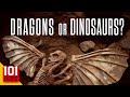 Dragons or Dinosaurs? (2010) | Full History Documentary Movie |