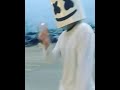Marshmello adopts his first kids