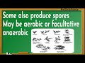 micro30 microbial diversity actinomycetes the gram positive filamentous bacteria shorts