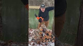 Best Mini Chainsaw I've Tested So Far