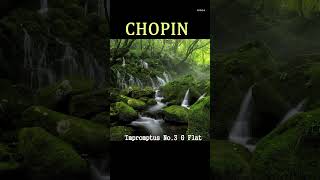 [ 편안한 음악 ] 상쾌한 아침 클래식 l 한국인이 좋아하는 음악 ( chopin - 쇼팽 )